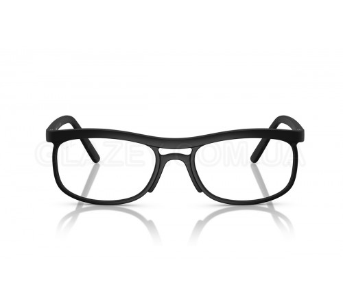 Оправа Ray-Ban RX 7254 5204