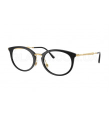 Оправа Ray-Ban RX 7255 2000
