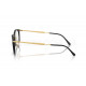 Оправа Ray-Ban RX 7255 2000