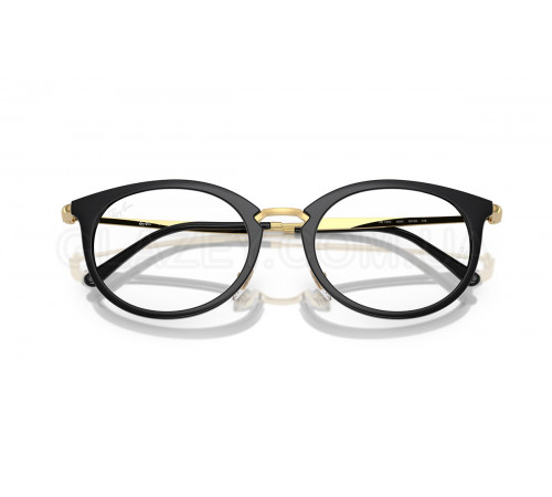 Оправа Ray-Ban RX 7255 2000