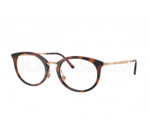 Оправа Ray-Ban RX 7255 5687