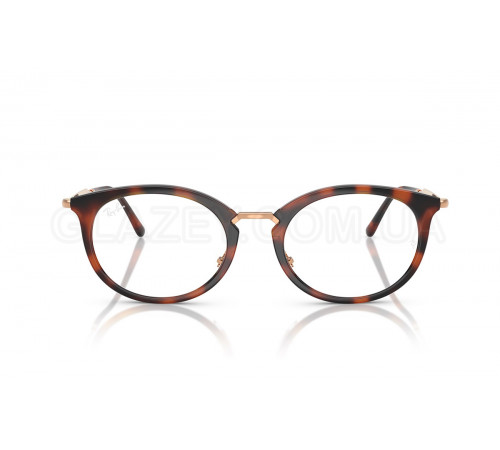 Оправа Ray-Ban RX 7255 5687