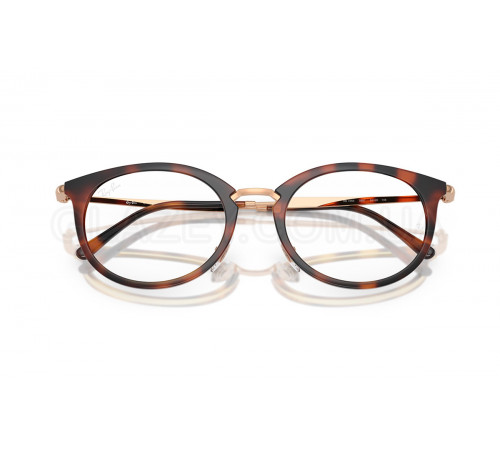 Оправа Ray-Ban RX 7255 5687
