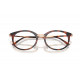 Оправа Ray-Ban RX 7255 5687
