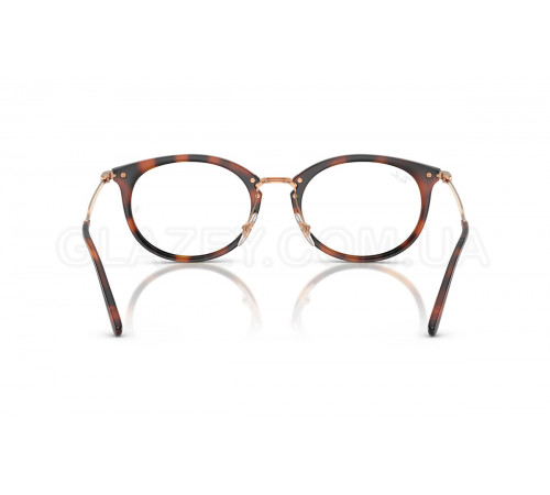 Оправа Ray-Ban RX 7255 5687