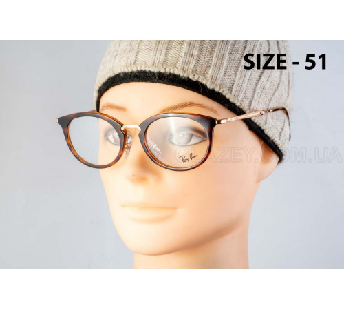Оправа Ray-Ban RX 7255 5687
