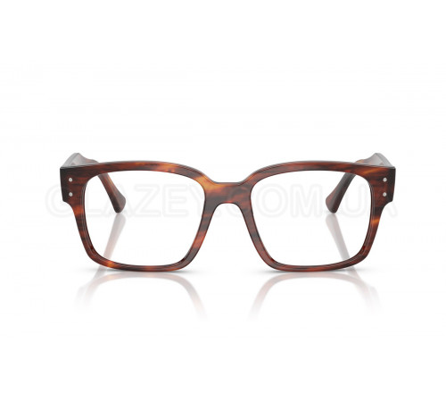 Оправа Ray-Ban RX 7256 8315