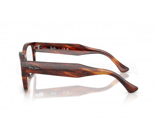 Оправа Ray-Ban RX 7256 8315