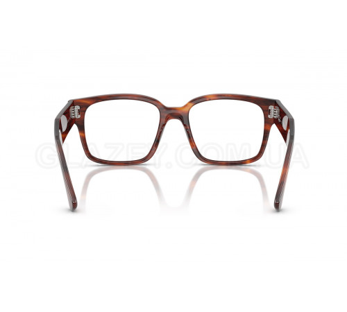 Оправа Ray-Ban RX 7256 8315