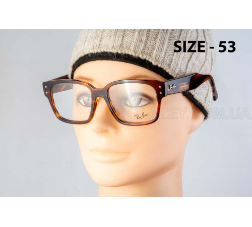 Оправа Ray-Ban RX 7256 8315