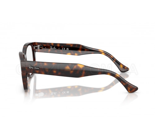 Оправа Ray-Ban RX 7256 8320