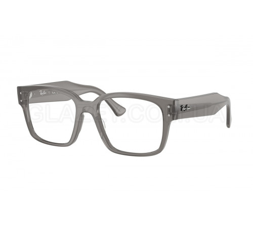 Оправа Ray-Ban RX 7256 8431