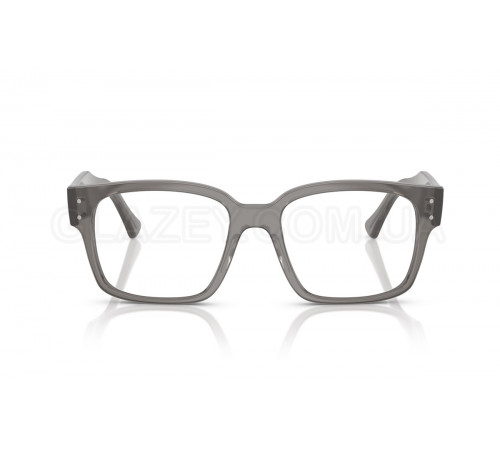 Оправа Ray-Ban RX 7256 8431