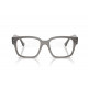 Оправа Ray-Ban RX 7256 8431