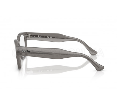 Оправа Ray-Ban RX 7256 8431