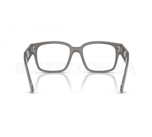 Оправа Ray-Ban RX 7256 8431