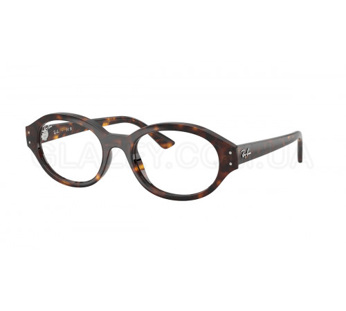 Оправа Ray-Ban RX 7257 8320