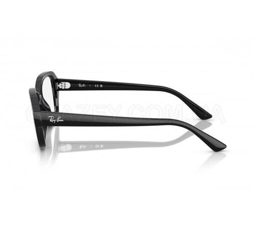 Оправа Ray-Ban RX 7258 8260