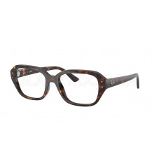Оправа Ray-Ban RX 7258 8320