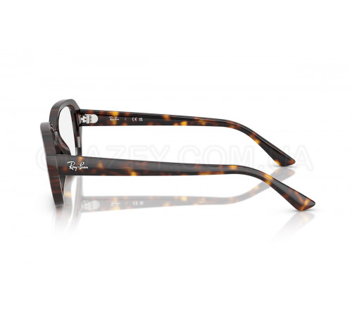 Оправа Ray-Ban RX 7258 8320