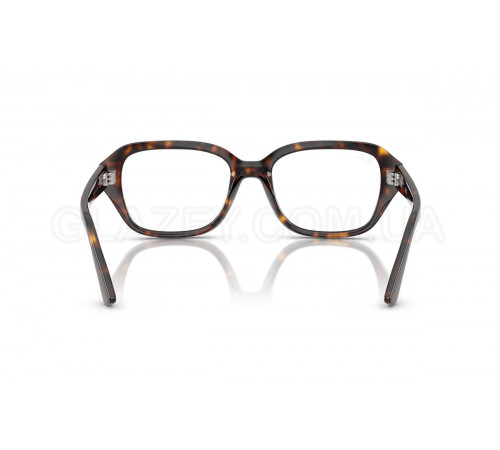 Оправа Ray-Ban RX 7258 8320