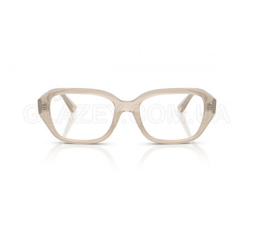 Оправа Ray-Ban RX 7258 8433