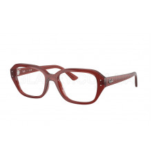 Оправа Ray-Ban RX 7258 8436