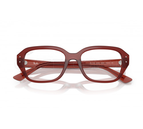 Оправа Ray-Ban RX 7258 8436
