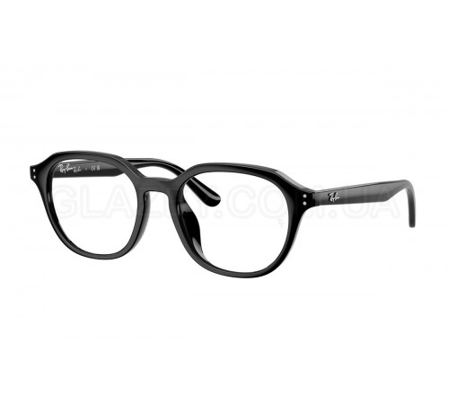 Оправа Ray-Ban RX 7259D 2000