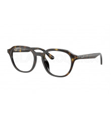 Оправа Ray-Ban RX 7259D 2012