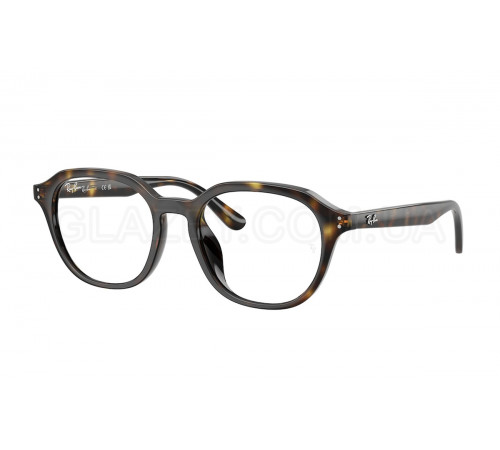 Оправа Ray-Ban RX 7259D 2012