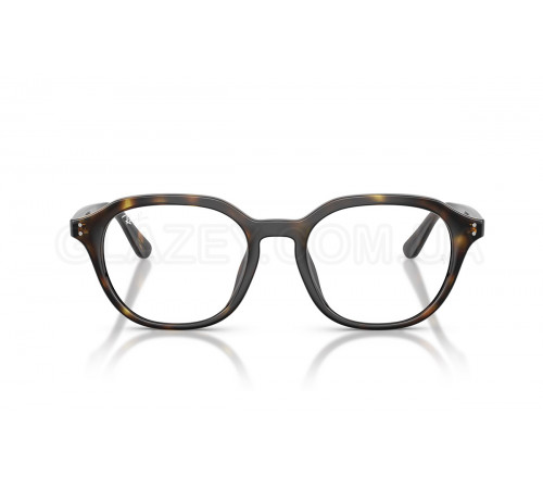 Оправа Ray-Ban RX 7259D 2012