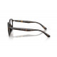 Оправа Ray-Ban RX 7259D 2012