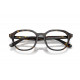 Оправа Ray-Ban RX 7259D 2012