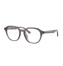 Оправа Ray-Ban RX 7259D 8257