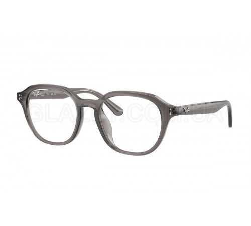 Оправа Ray-Ban RX 7259D 8257