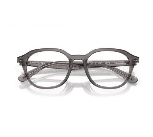 Оправа Ray-Ban RX 7259D 8257