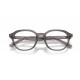 Оправа Ray-Ban RX 7259D 8257