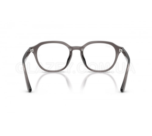 Оправа Ray-Ban RX 7259D 8257