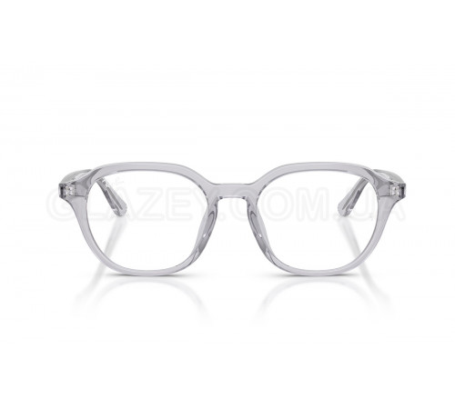 Оправа Ray-Ban RX 7259D 8411
