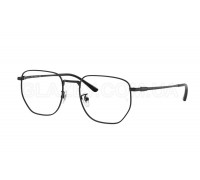 Оправа Ray-Ban RX 8776D 1244