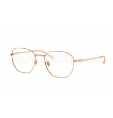 Оправа Ray-Ban RX 8777D 1248