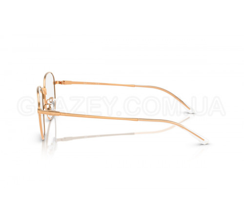 Оправа Ray-Ban RX 8777D 1248