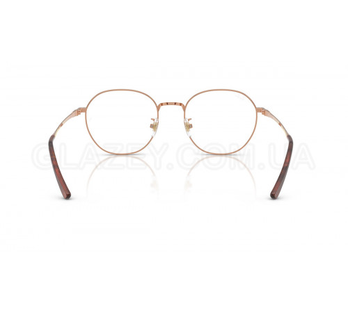 Оправа Ray-Ban RX 8778D 1245