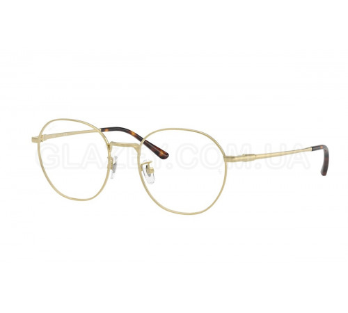 Оправа Ray-Ban RX 8778D 1251