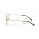 Оправа Ray-Ban RX 8778D 1251