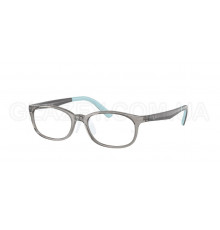Оправа Ray-Ban RY 1613 3908