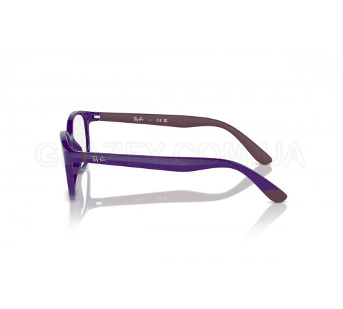 Оправа Ray-Ban RY 1632 3962