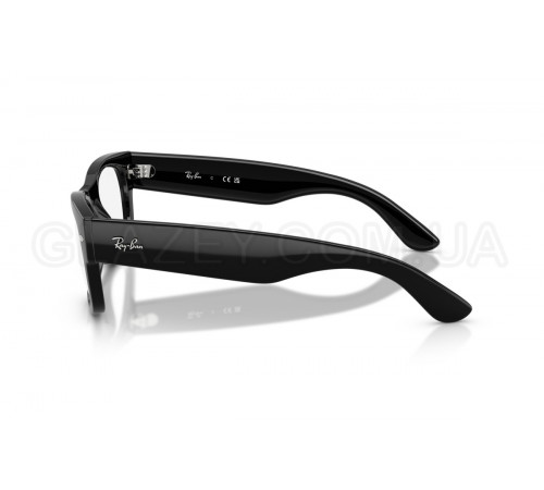 Оправа Ray-Ban RX 0832V 2000