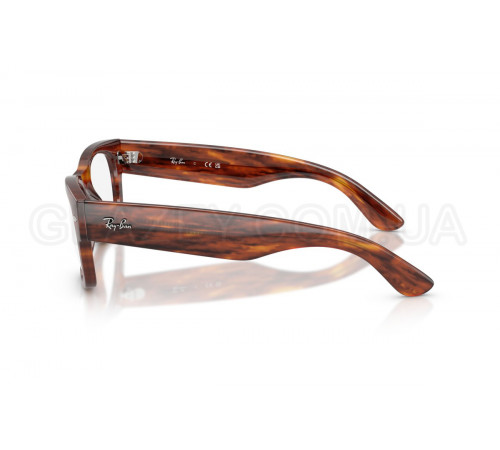 Оправа Ray-Ban RX 0832V 2144